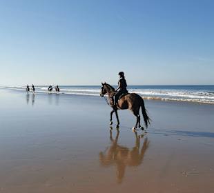 Reitstall Finca el Anfora Conil