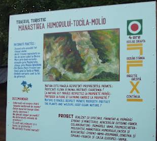 Manastirea Humorului