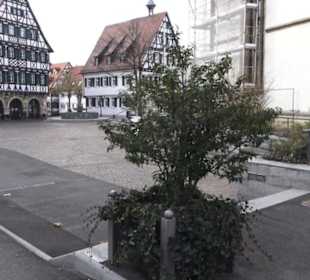 Altstadt