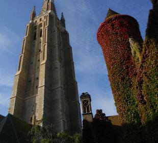 Schöne Motive überall