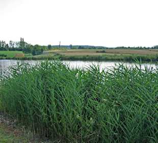 Entlang der Landschaft