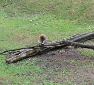 Zoo Wrocław