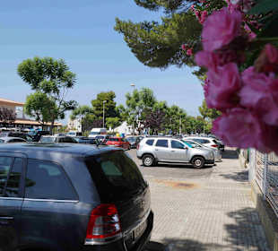 Platja de Muro