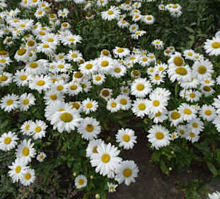 Impressionen aus dem Park der Gärten