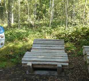 Unterwegs am Naturentdeckerpfad Woid Woifes Welt