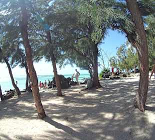 Ile aux Cerfs