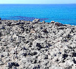 Der Weg ist das Ziel