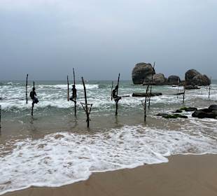 Tony Sri Lanka Tours