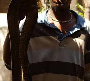 Kleine Schlangenfarm