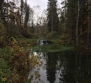 Wimsener Höhle