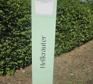 Kurpark Bad Bergzabern