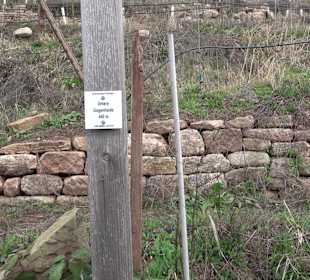 Unterjesinger Wengertwegle