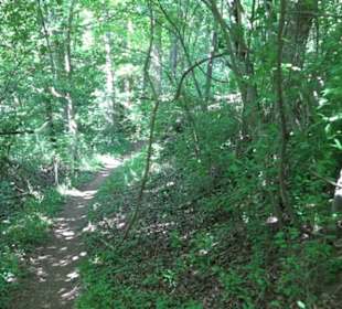 Wanderweg Sieben-Täler-Runde 