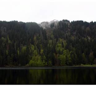 Der Feldsee am Feldberg