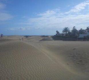 Wydmy na plaży del Ingles