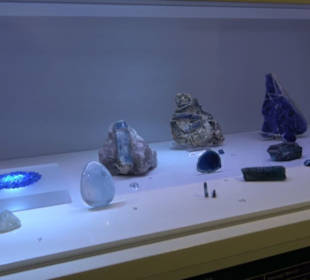 Museum für Naturkunde