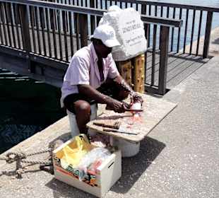 Der frische Fisch wird zubereitet