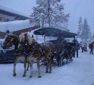 Pferdeschlittenfahrten werden auch angeboten