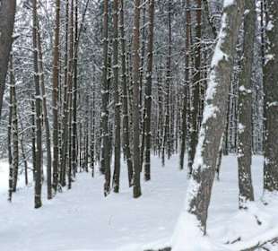 Im Winter