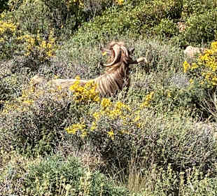 Wandern Chersónisos/Hersonissos
