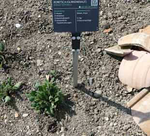 Erläuterungen der Kräuter