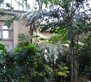 Wilhelma Stuttgart