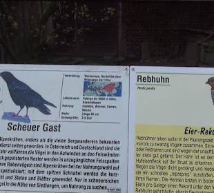 Wildpark Reuschenberg