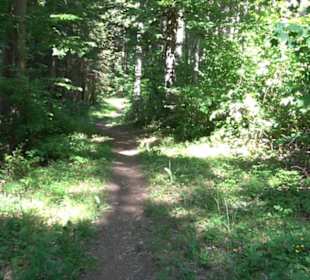 Wanderweg Sieben-Täler-Runde 