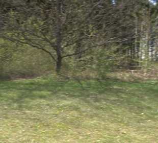 Rundweg am Beutenlay