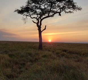 Schöner Sonnenuntergang 