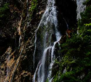 Silberkarklamm
