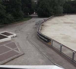 Eis- und Rollschubahn