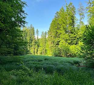 Wandern Ebbs 