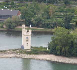 Bei unseren Wanderungen bei Rüdesheim