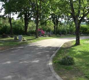 Friedhof Weiler