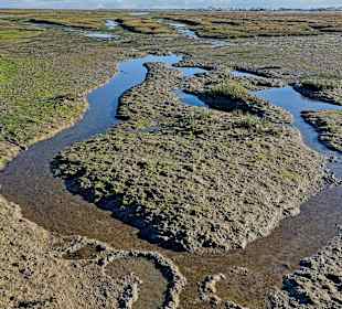 Parque Natural da Ria Formosa