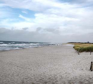 Graal-Müritz - Strand