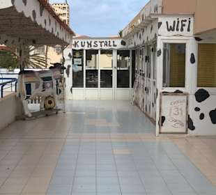 Kuhstall