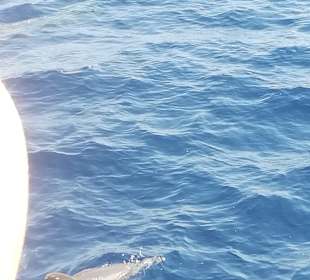 Schnorcheln Hurghada