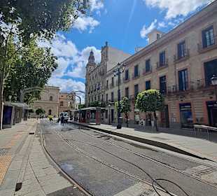 Barrio de Santa Cruz