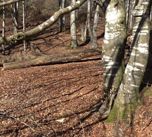 Naturerlebnispfad Meidelstetten