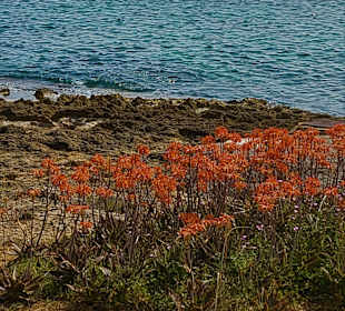 Strandpromenade Can Picafort