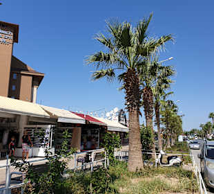 Einkaufen & Shopping