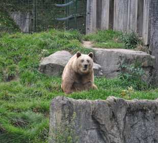 Tierpark Olderdissen