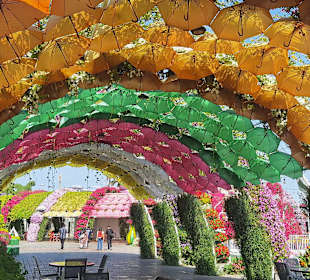 Dubai Miracle Garden