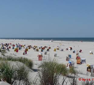 Der schöne Strand im Norden