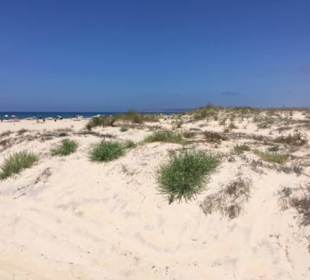 Strand Zahara de los Atunes