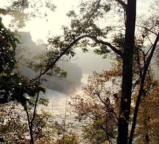 Autumn over the Rhine Falls