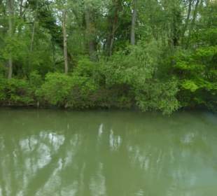 Fahrt mit dem Linienboot auf dem Alten Rhein