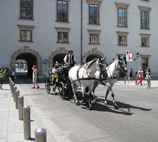 Fiaker in der Hofburg